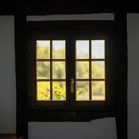 Arotzenea