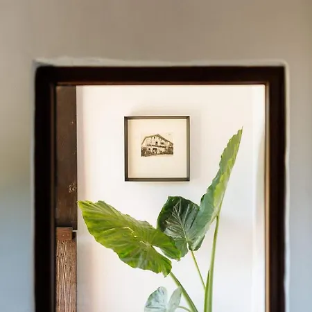 Arotzenea Casa rural